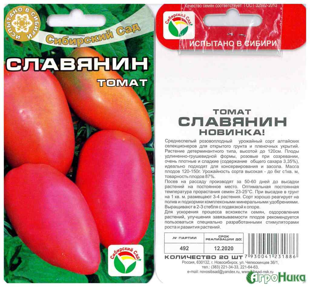 Описание томата Славянин и правила выращивания растения из семян