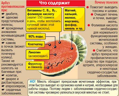 Сладкая ягодка арбуз: польза для здоровья, в чем нужно быть осторожным