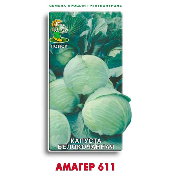 Капуста амагер: описание сорта, фото, отзывы садоводов