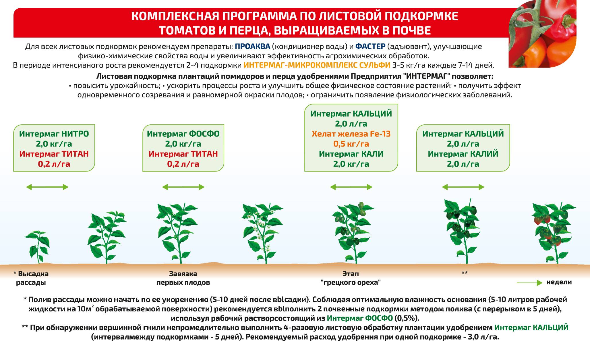 Подкормка огурцов в разные периоды для увеличения урожая в два раза