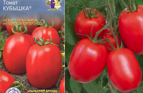 Особенности выращивания томата клуша