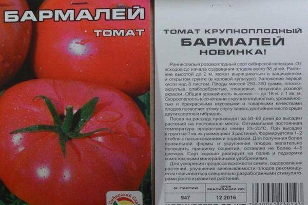 Описание сорта томата славянский шедевр, уход за растением