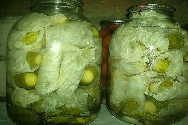 ТОП 3 пошаговых рецепта приготовления огурцов в капустных листьях на зиму
