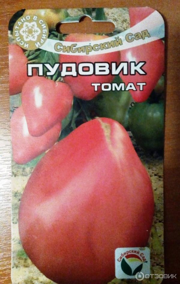 Пудовик или севрюга — характеристика сорта томатов, правила выращивания