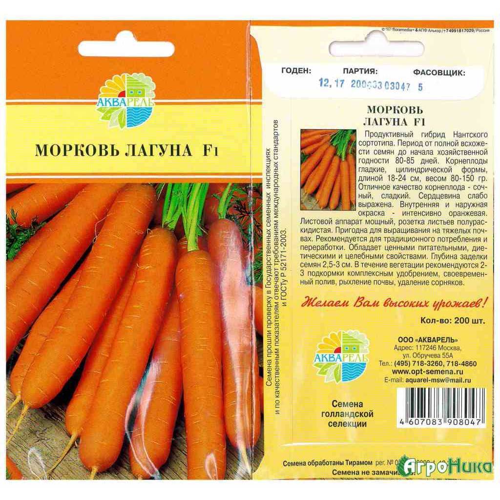 Сорта моркови с фото и описанием