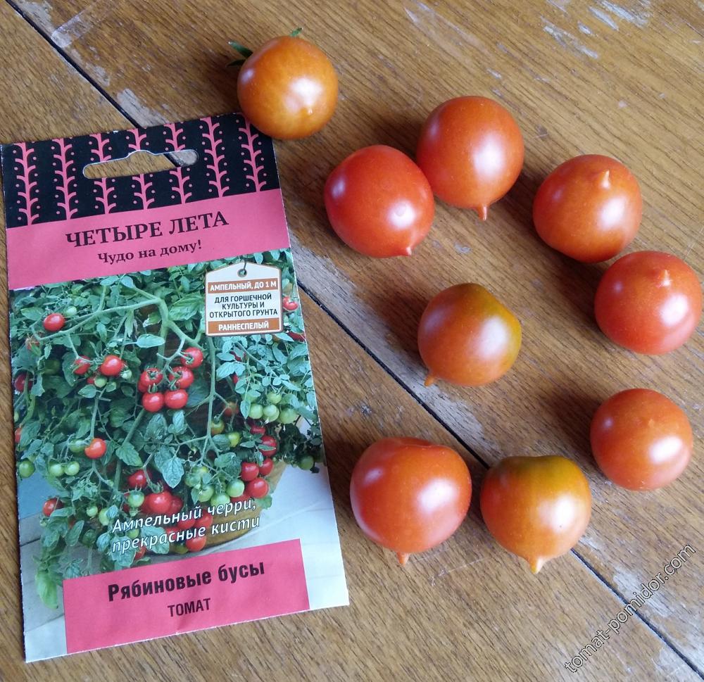 Томат рябиновые бусы: отзывы об урожайности, характеристика и описание сорта, фото как выращивать помидоры