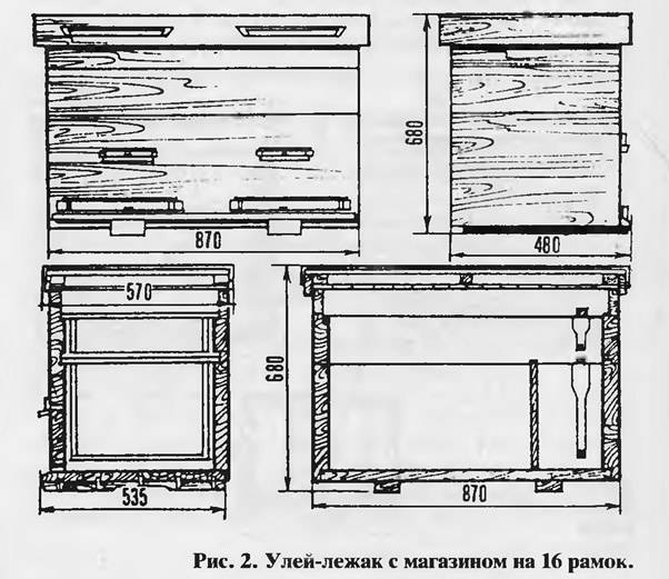 Строение улья для пчел схема