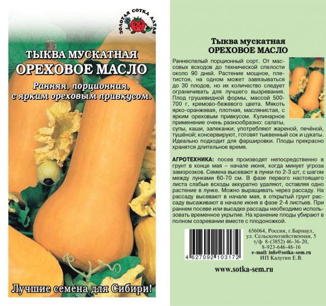 Тыква гитара