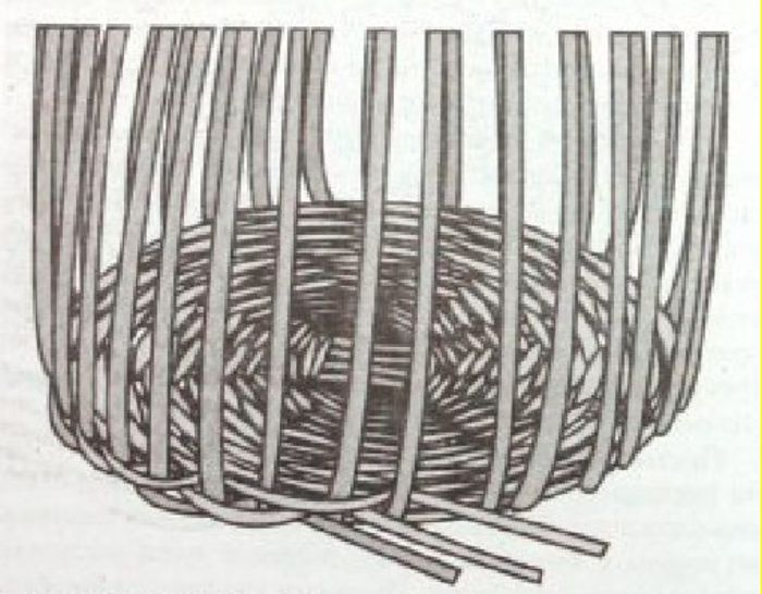 Плетень своими руками: из досок, прутьев, веток
