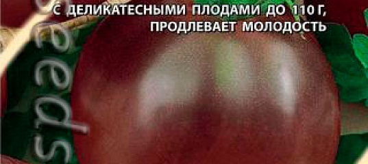 Индетерминантные и детерминантные сорта томатов: что это такое и как их выращивать?