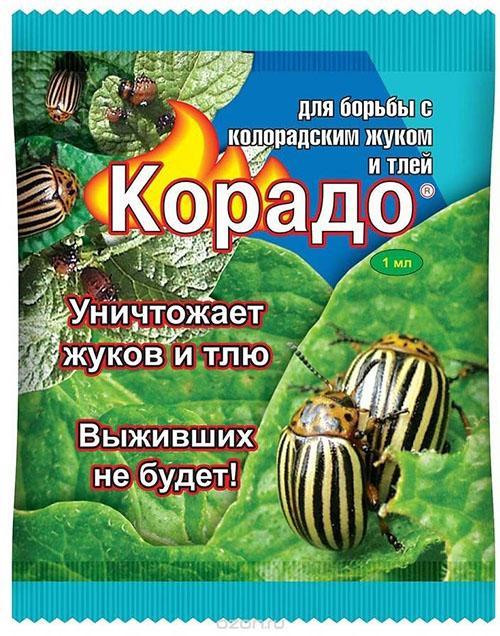 Душистый табак против колорадского жука: выращивание, свойства, отзывы, фото
