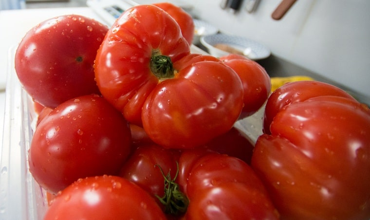 Описание сорта томата вова путин и его характеристики – дачные дела