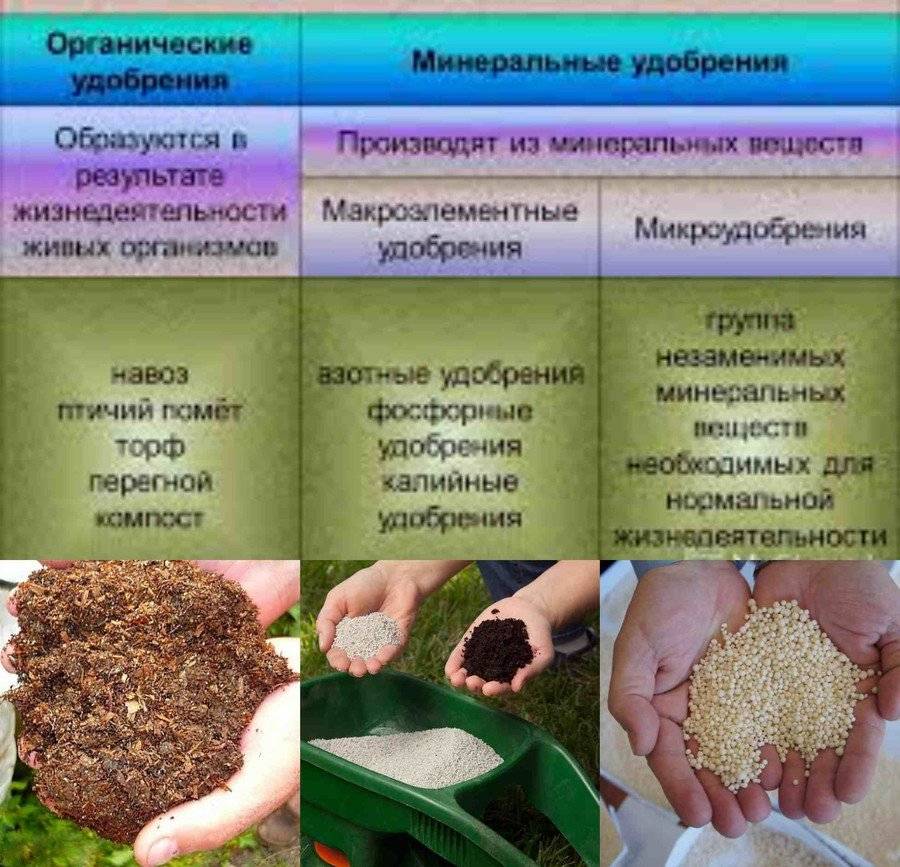 Полезные вещества в земле. Минеральные удобрения для почвы. Минеральные и органические удобрения. Органические удобрения и Минеральные удобрения. Почвенные биологические удобрения.