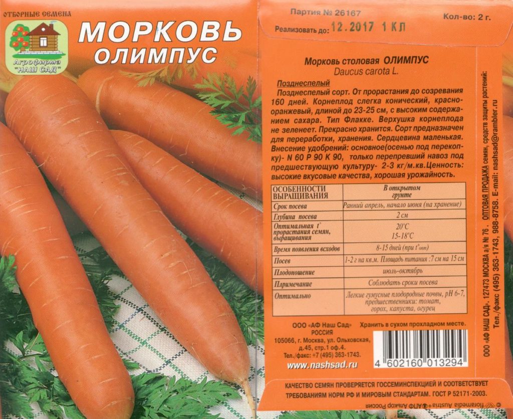 Лучшие сорта моркови для открытого грунта с описанием и характеристиками