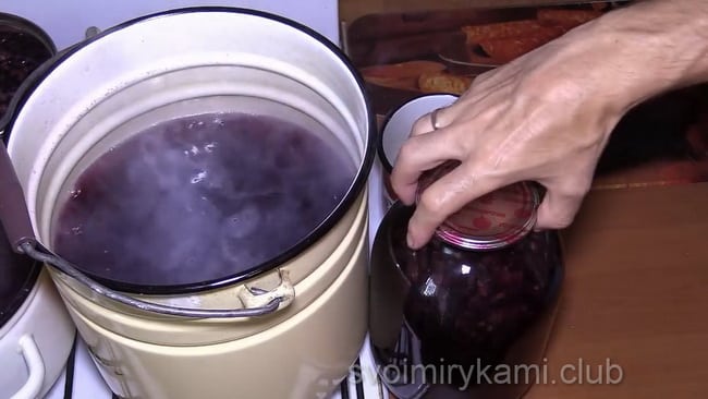 Сироп из черной смородины на зиму: рецепт пошагового приготовления, хранение