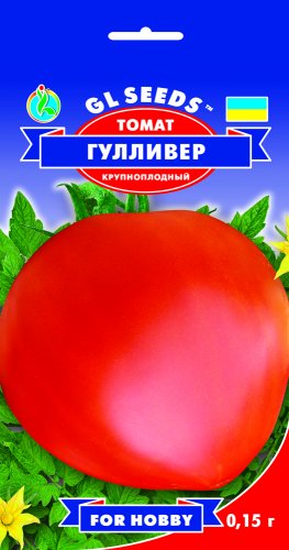 Описание и выращивание томатов «гулливер»