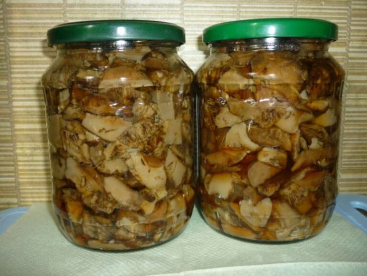Как мариновать белые грибы на зиму в банках? простые рецепты маринованных белых грибов
