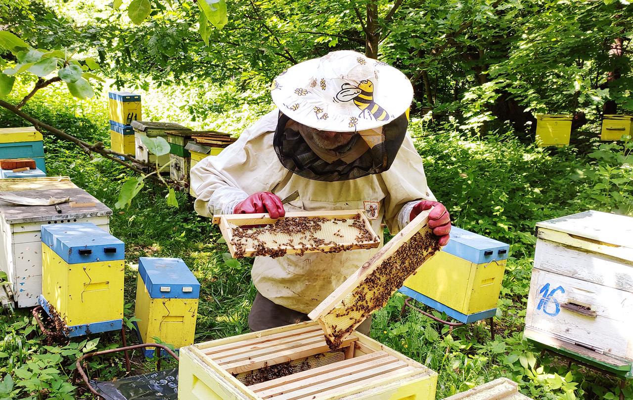 Какой продукт нельзя получить на пасеке. Пасека 