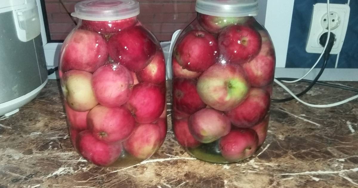 Мочёные яблоки на зиму в домашних условиях: лучшие рецепты приготовления (в банках, в бочке, с сахаром, хреном, медом и горчицей)