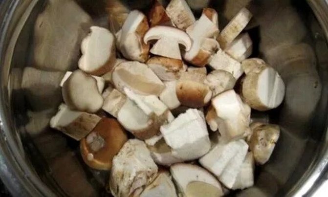 Как заморозить грибы