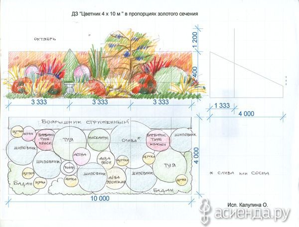 Схема клумбы: виды клумб, варианты сочетания растений, как составить схему рассадки цветов