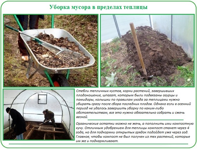 Подготовка почвы в теплице под помидоры весной: обработка грядок, видео и фото