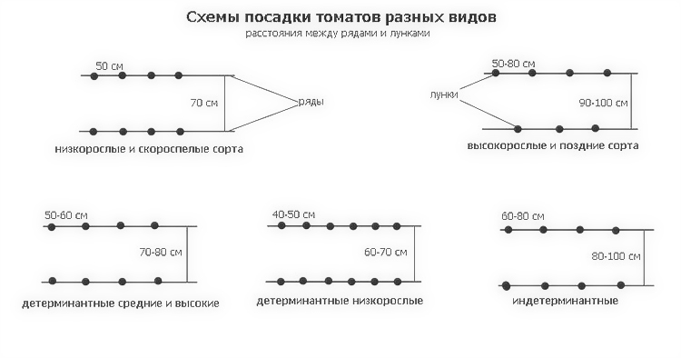 Высадка рассады помидор в теплице схема