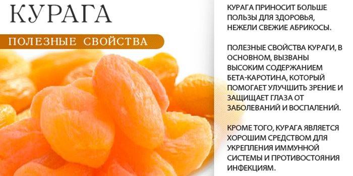 Польза, вред и противопоказания к употреблению абрикосовых косточек