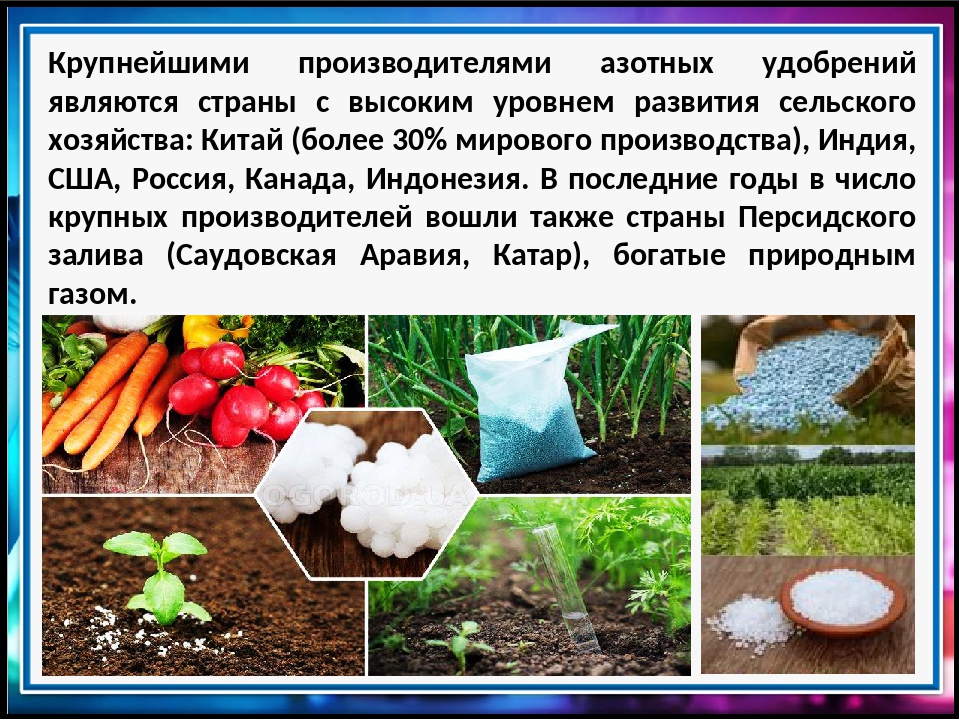 Органические удобрения: виды, характеристики, применение, что относится к органике, названия