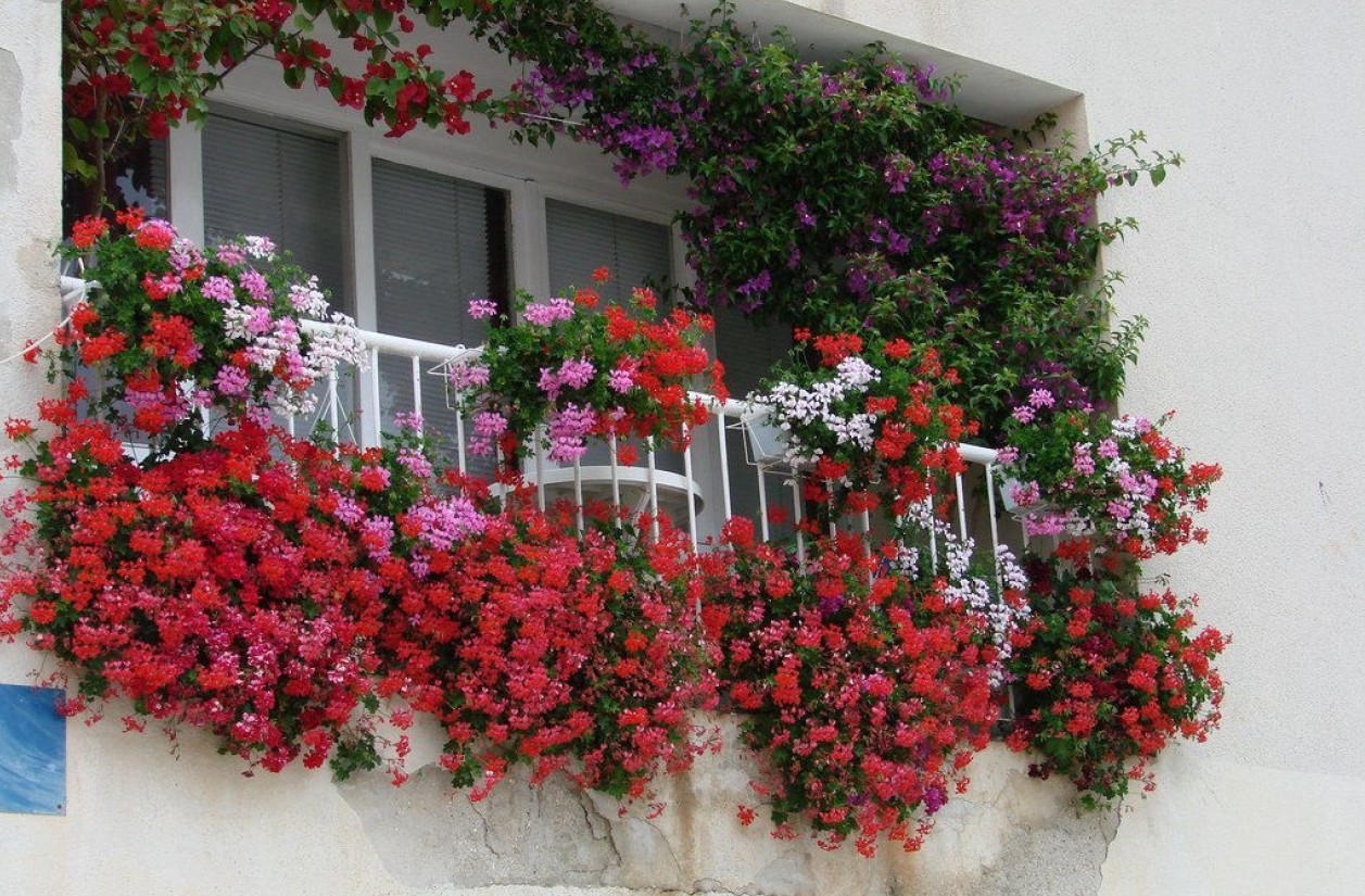 Дизайн с цветами на балконе (45 фото): оформление цветочного балкона своими руками на солнечной стороне