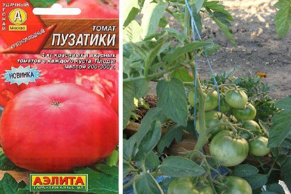 Томат "богата хата": описание сорта, особенности выращивания, вес, урожайность, а также устойчивость к вредителям русский фермер