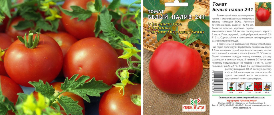 Описание сорта томата царь петр и его характеристики – дачные дела