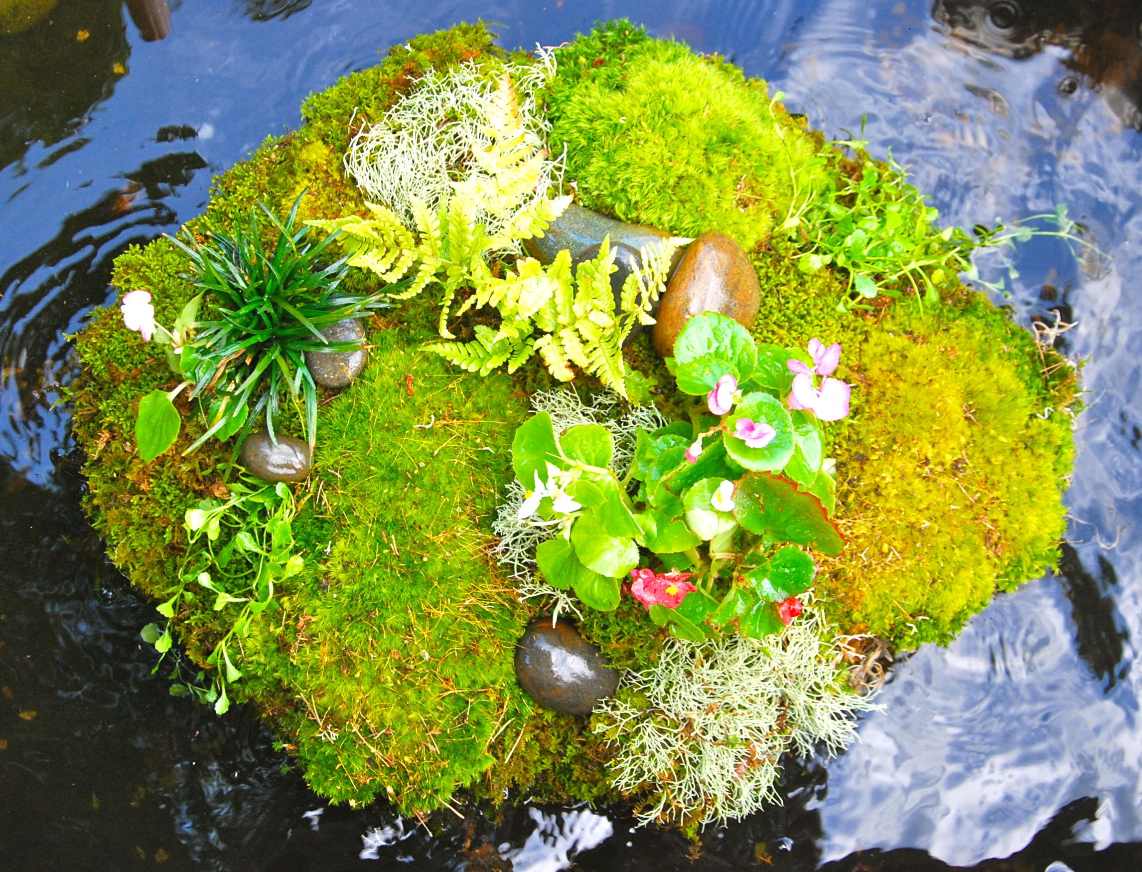 Самодельные садовые клумбы: их виды, необходимые материалы, подбор растений и цветов