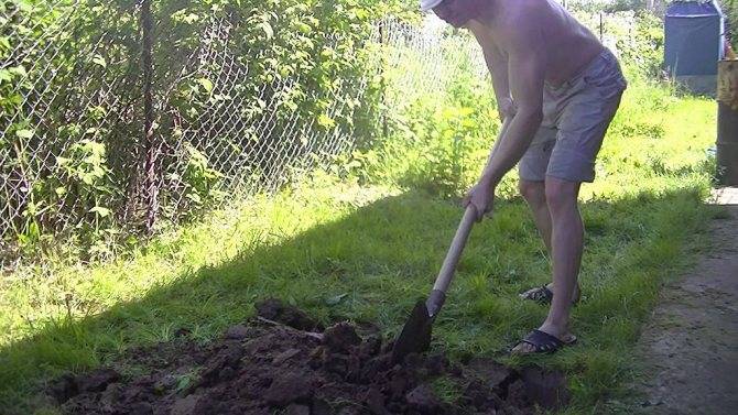 Как правильно копать землю лопатой. как правильно копать в огороде: советы бывалых | зелёный сад