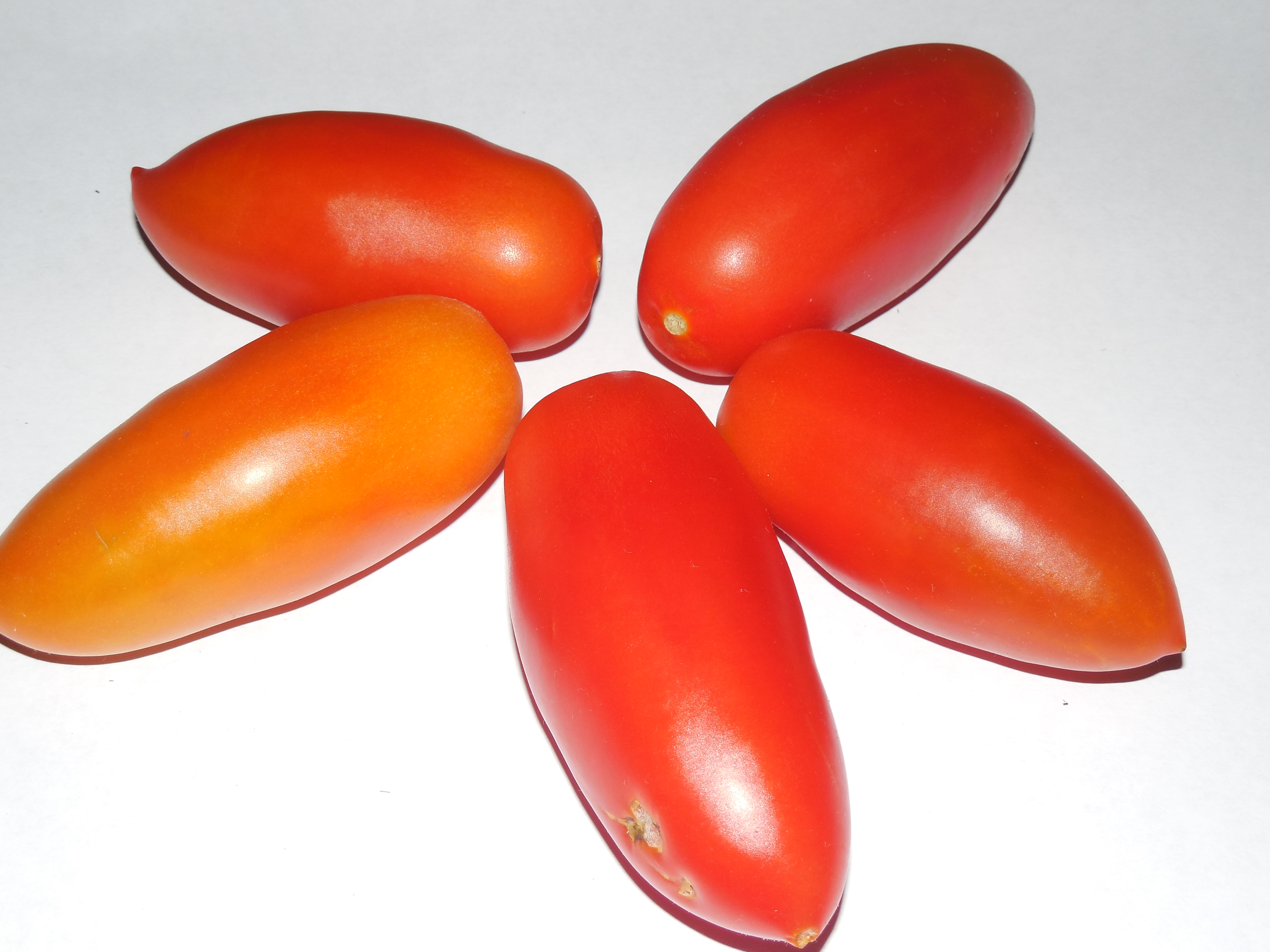 Описание томата сорта «ниагара»: урожайность, вкус, устойчивость к болезням