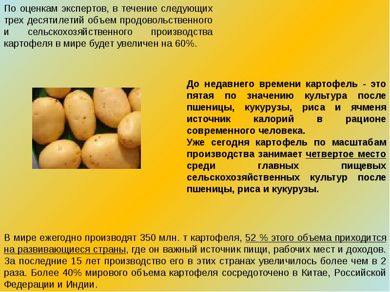 Галина кизима: посадка картофеля, описание метода выращивания, советы