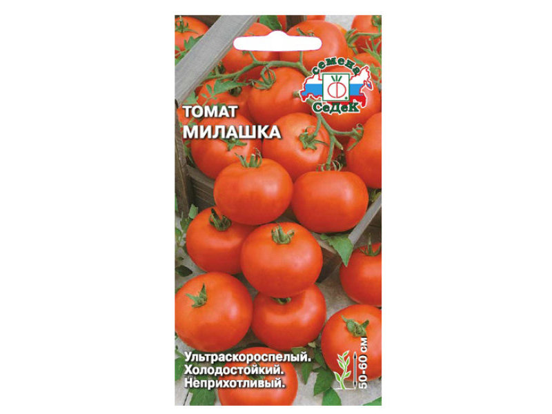 Лучшие сорта ультраскороспелых помидор