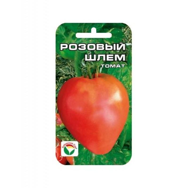 Что такое штамбовые томаты и описание лучших сортов