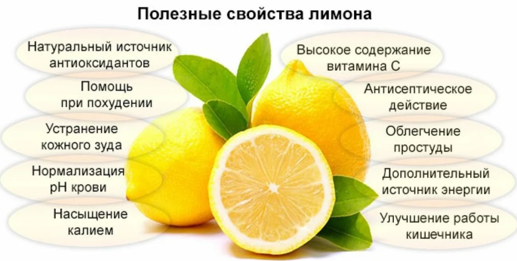 Чем полезен лимон – полезные свойства и противопоказания для организма человека