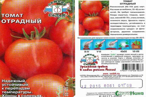 Описание детерминантного томата Отрадный и выращивание сорта рассадным способом