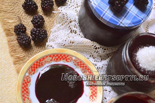 Рецепты ежевики с сахаром на зиму: протертой, замороженной