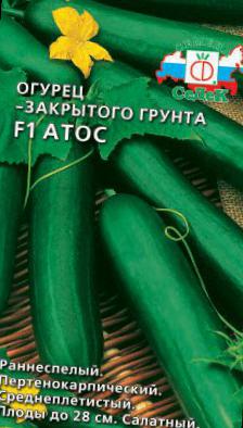 Огурец «атос f1»: посев, выращивание, уход и урожайность