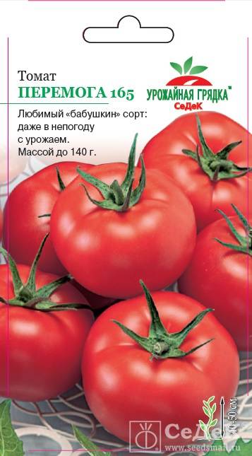 Формирование томатов - особенности, схемы и правила формирования помидор (105 фото)