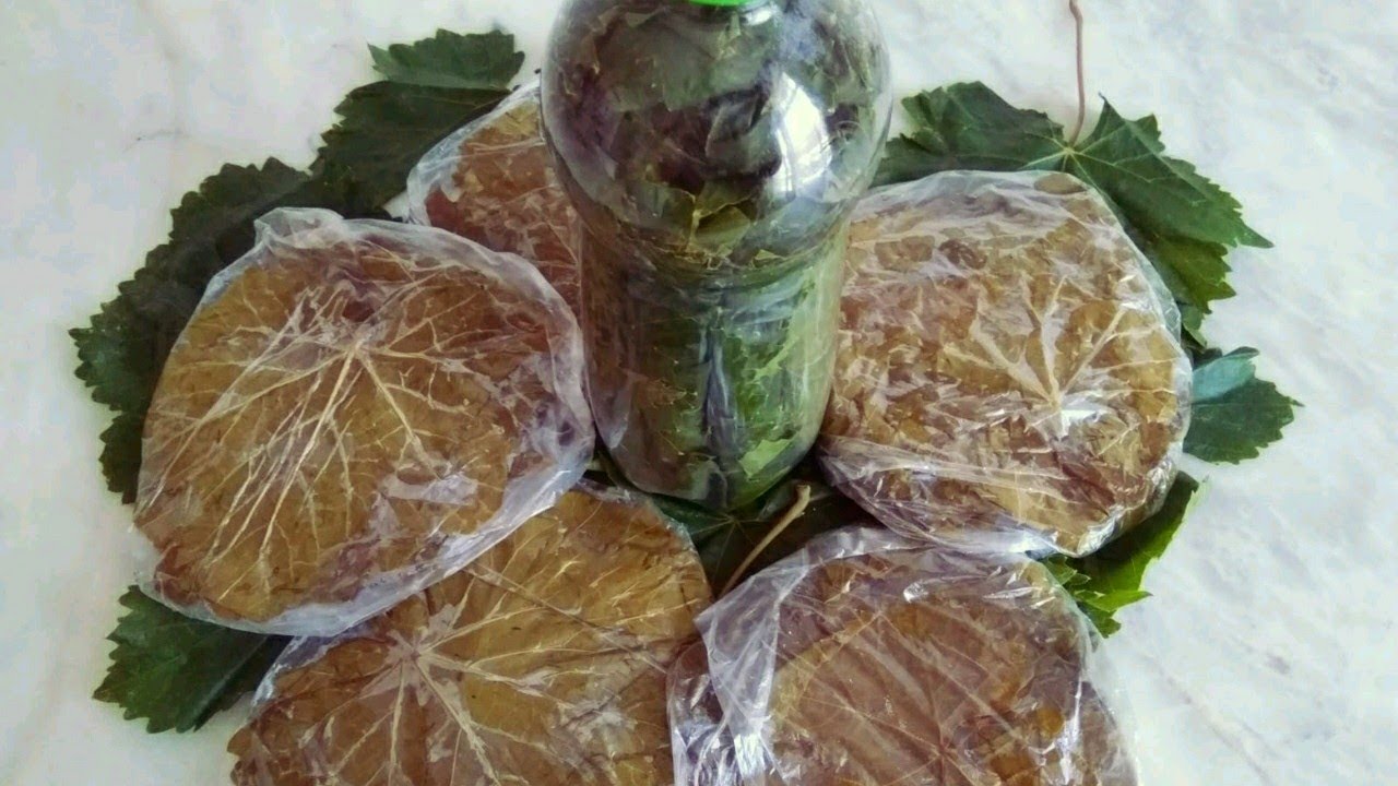 Виноградные листья для долмы консервированные на зиму: рецепты с фото и видео