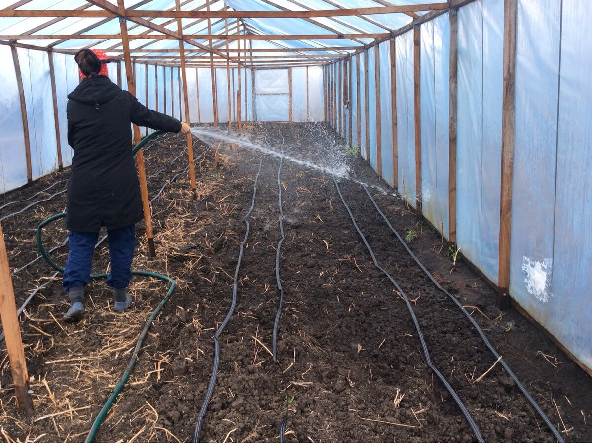 Земля для помидоров в теплице: как подготовить и удобрить почву?