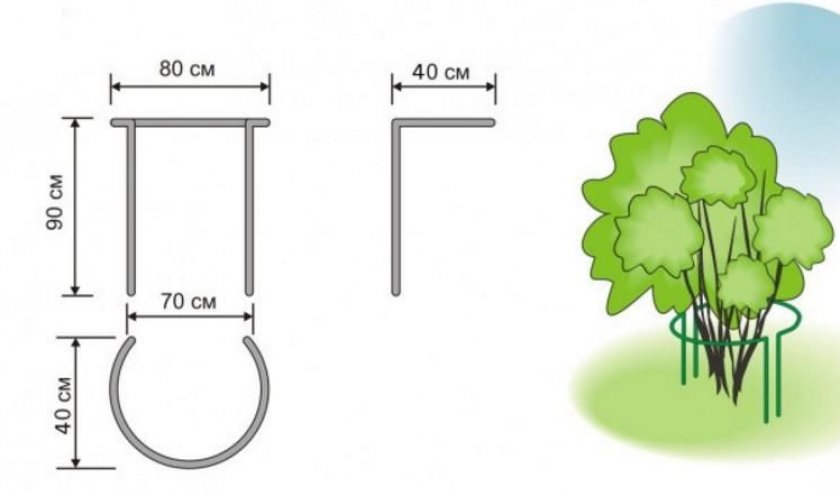 Подпорки для клубники своими руками: схемы и чертежи простых подпорок и особенности выращивания клубники с подпорками (105 фото)