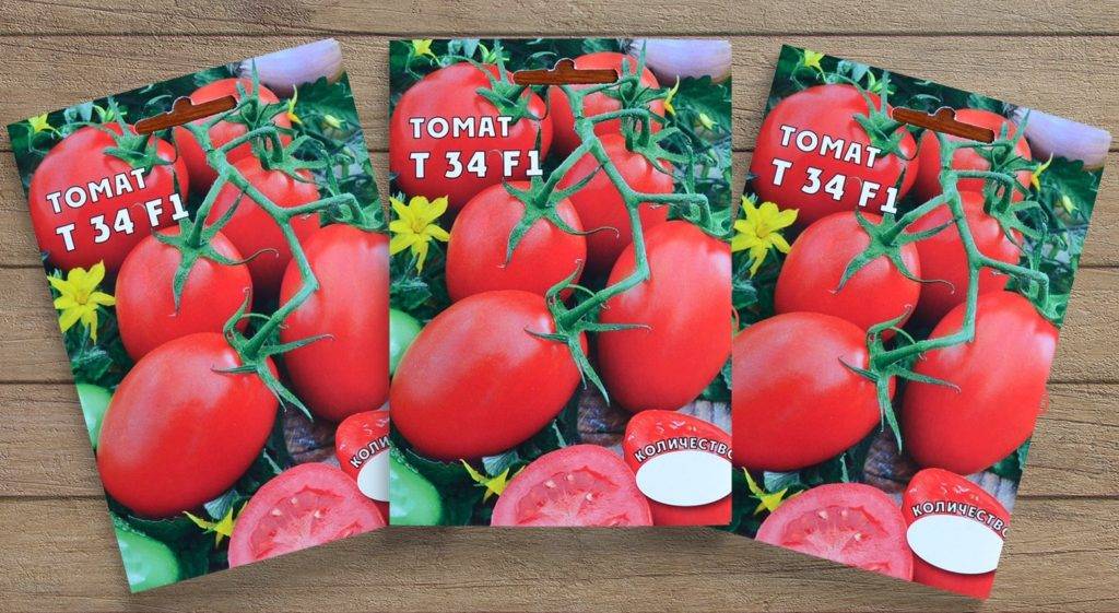 Описание сорта помидоров Т 34, особенности выращивания и ухода