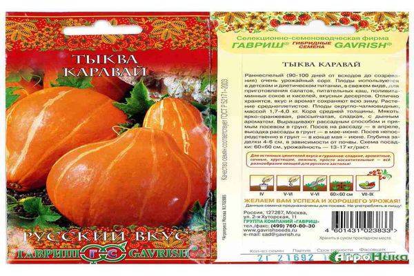 Крупноплодные сорта тыквы россиянка, конфетка, крошка, стофунтовая: описание с фото