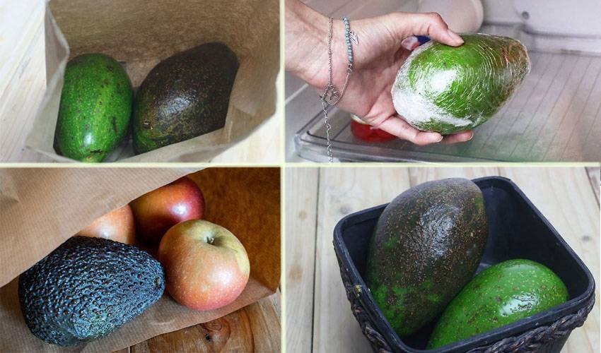 Как дозреть авокадо в домашних условиях: куда положить, чтобы процесс шел быстрее