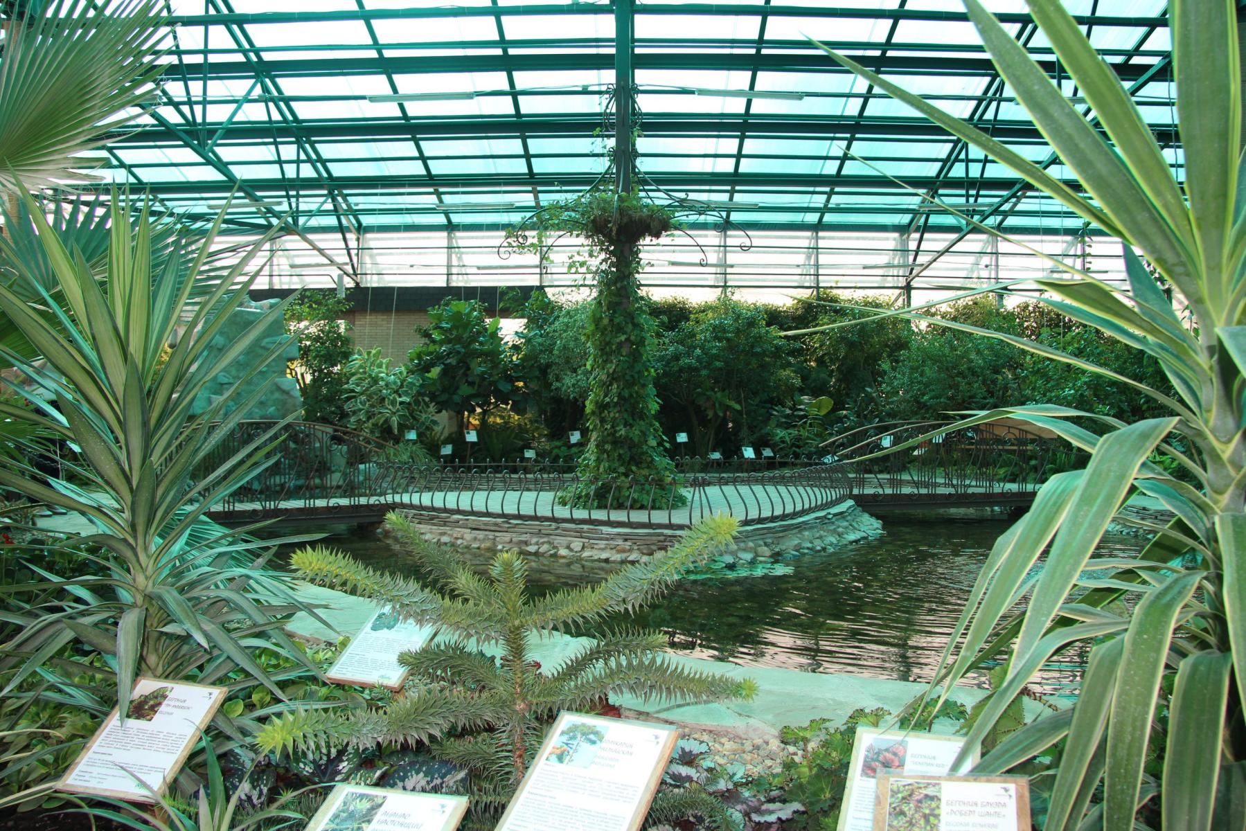 Ботанический сад санкт-петербурга: история создания, экспозиции, часы работы